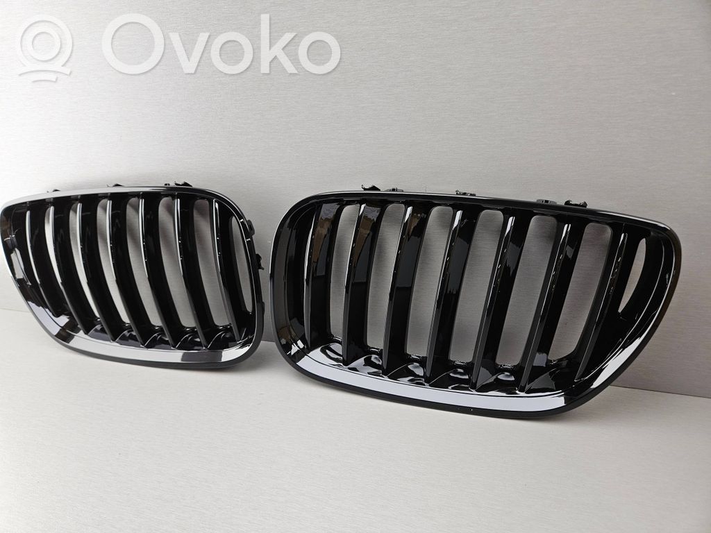 BMW X5 E53 Front bumper upper radiator grill 