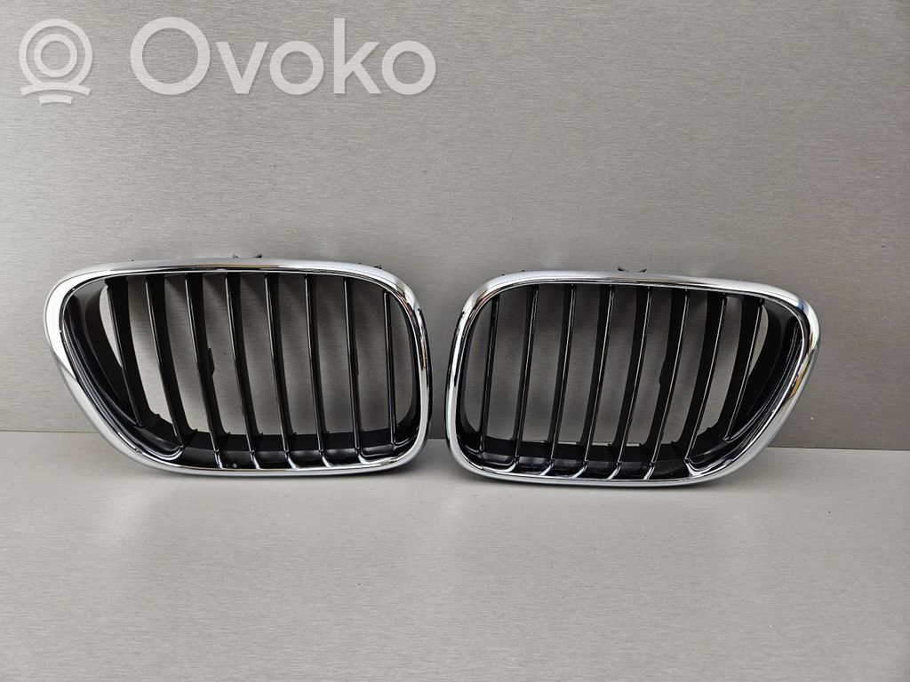 BMW X5 E53 Front bumper upper radiator grill 