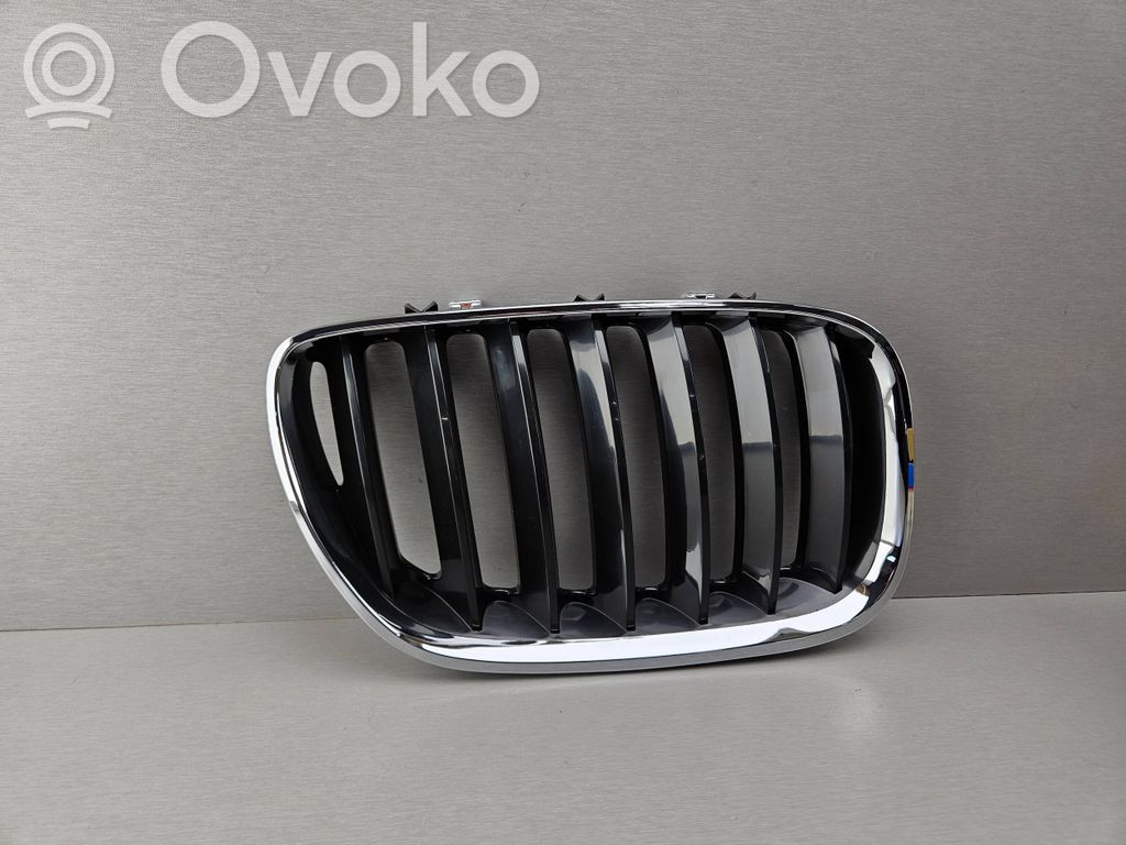 BMW X5 E53 Front bumper upper radiator grill 