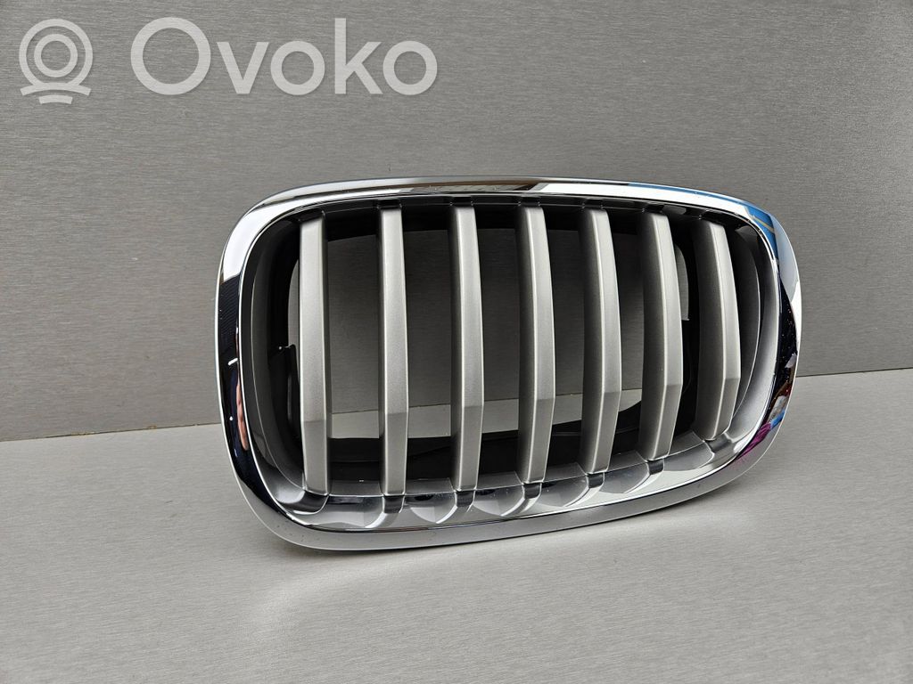 BMW X5 E70 Front bumper upper radiator grill 