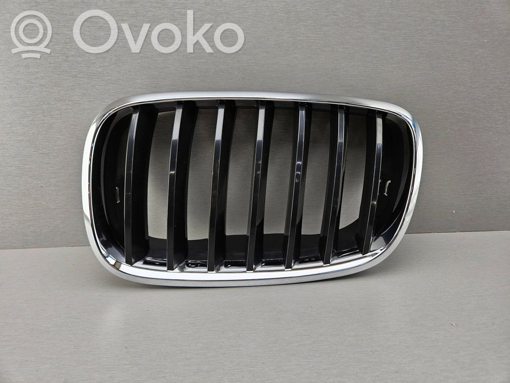 BMW X5 E70 Front bumper upper radiator grill 