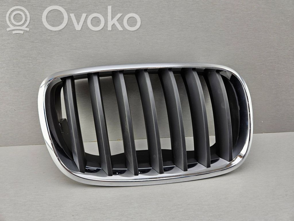 BMW X5 E70 Front bumper upper radiator grill 