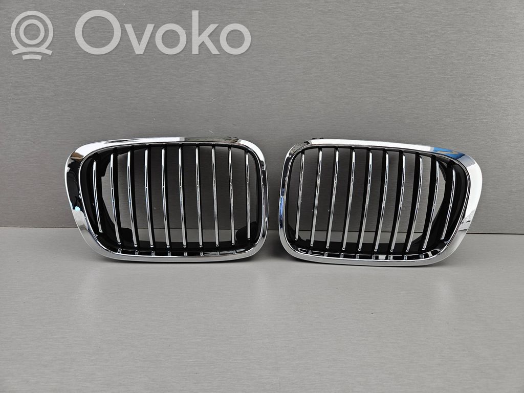 BMW 3 E46 Front bumper upper radiator grill 