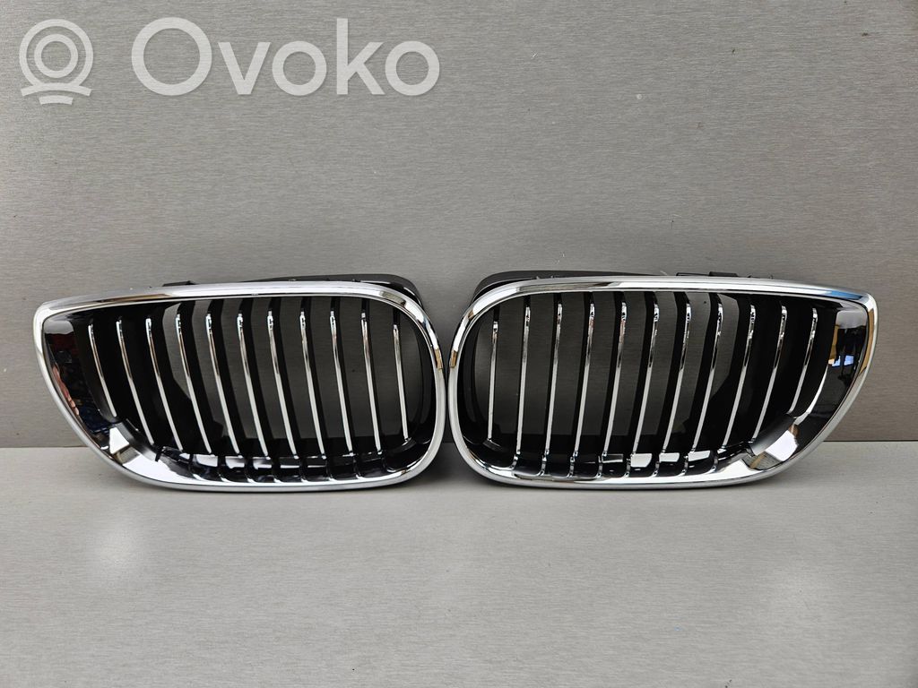 BMW 3 E46 Oberes Gitter vorne 
