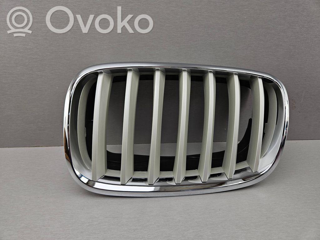 BMW X5 E70 Front bumper upper radiator grill 