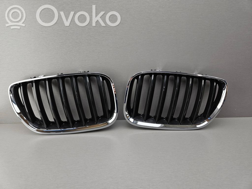 BMW X5 E53 Front bumper upper radiator grill 
