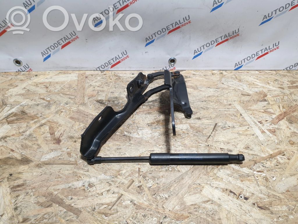 BMW Z4 E89 Tailgate/trunk/boot hinge 