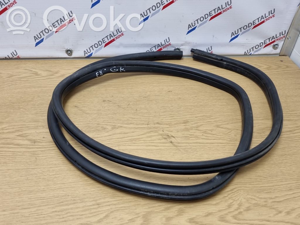 BMW X1 E84 Gumowa uszczelka drzwi tylnych / na karoserii 