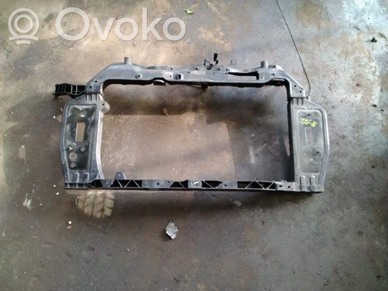 Radiatoru panelis   641011Y600