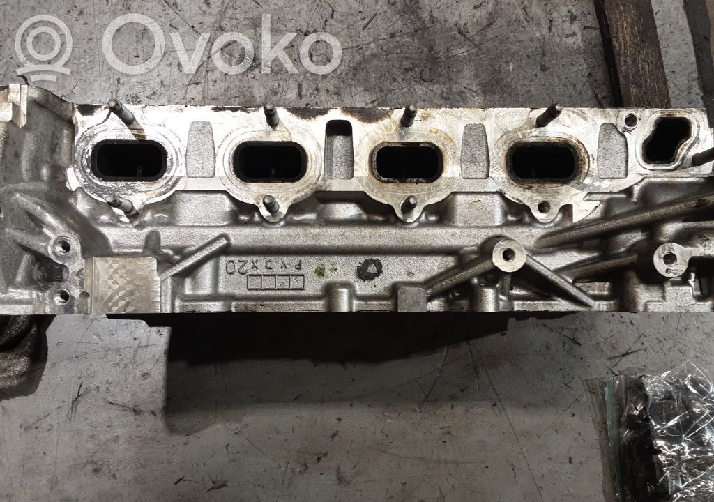 Engine head   6000616467