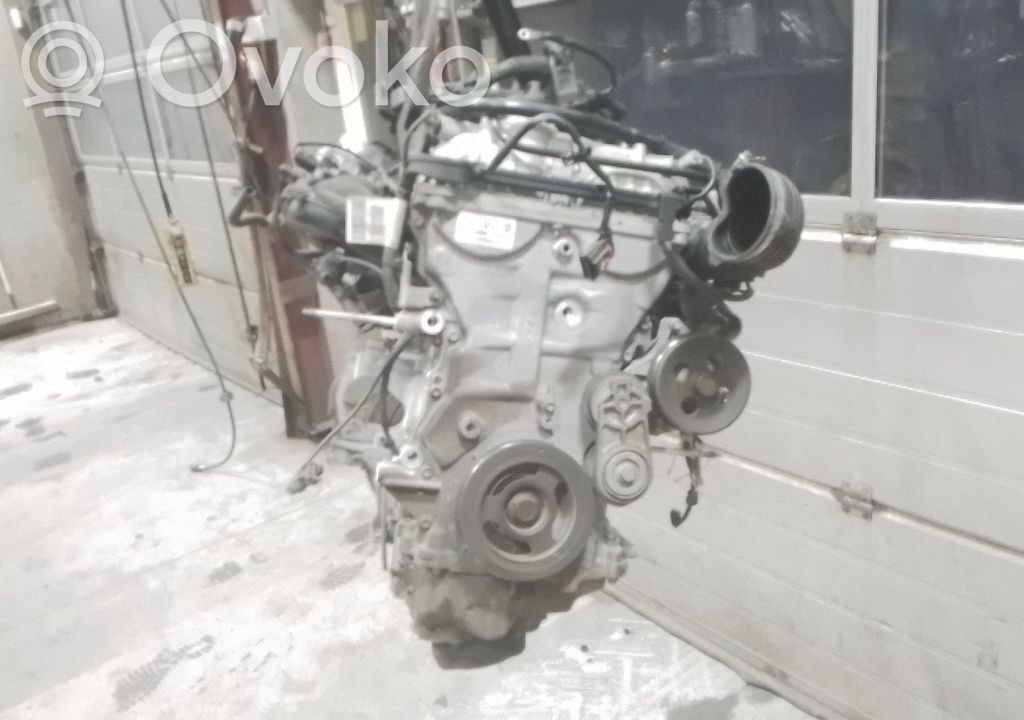 Variklis   12694451