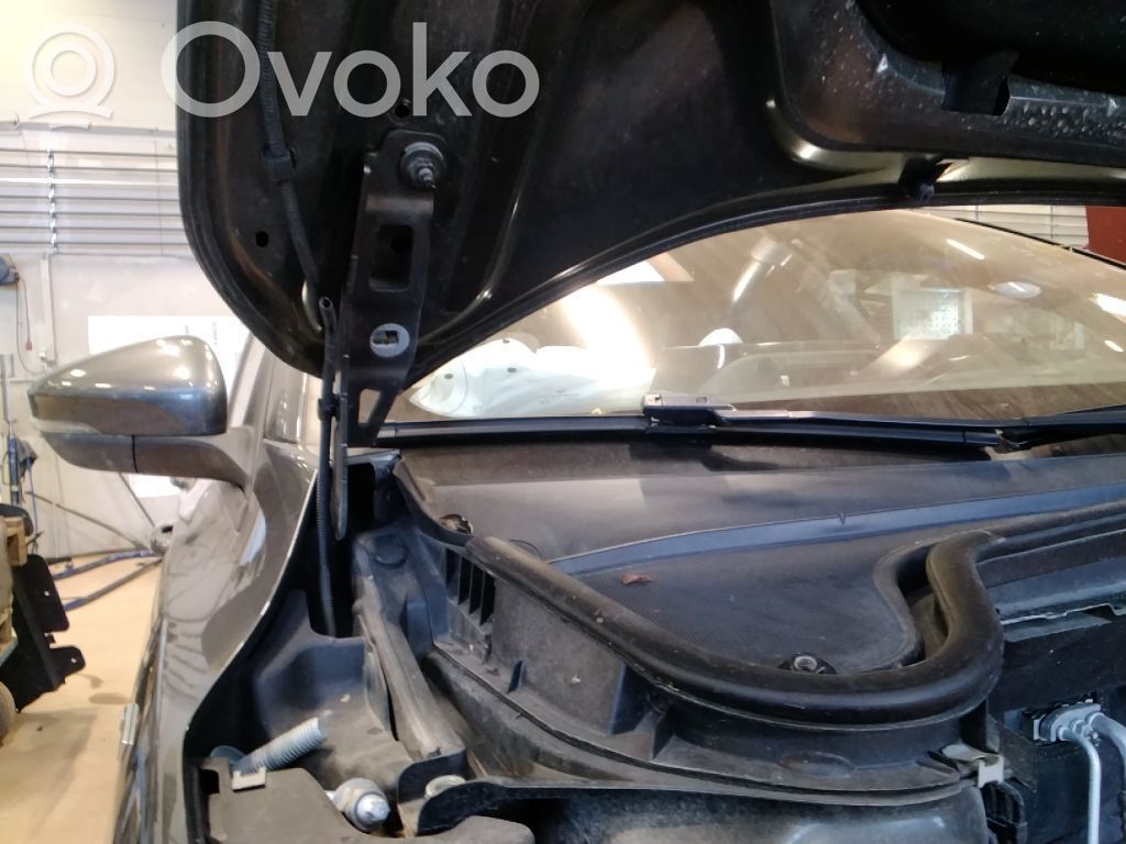 Engine bonnet/hood hinges   2206955