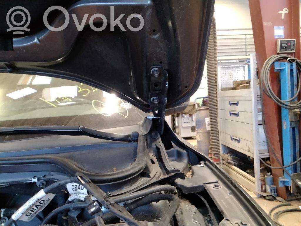 Ford Focus Konepellin saranat 