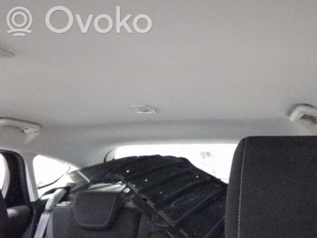 Ford Focus Headlining 