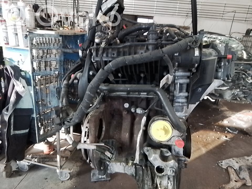 Ford Fiesta Variklis 