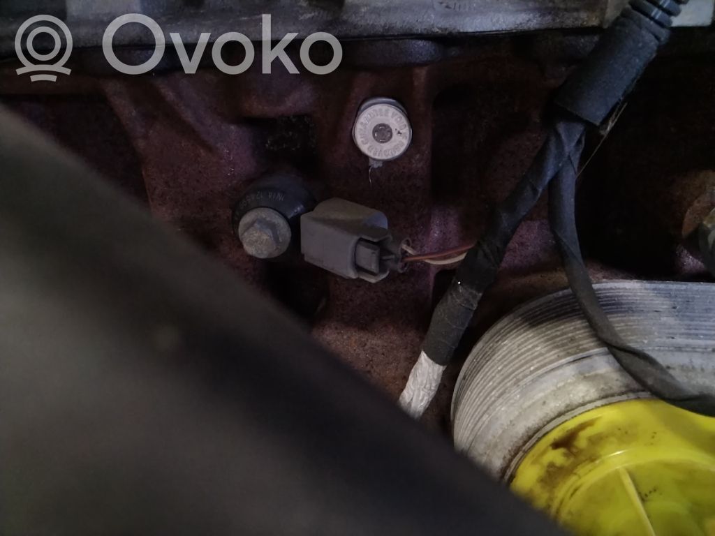 Ford Fiesta Engine 