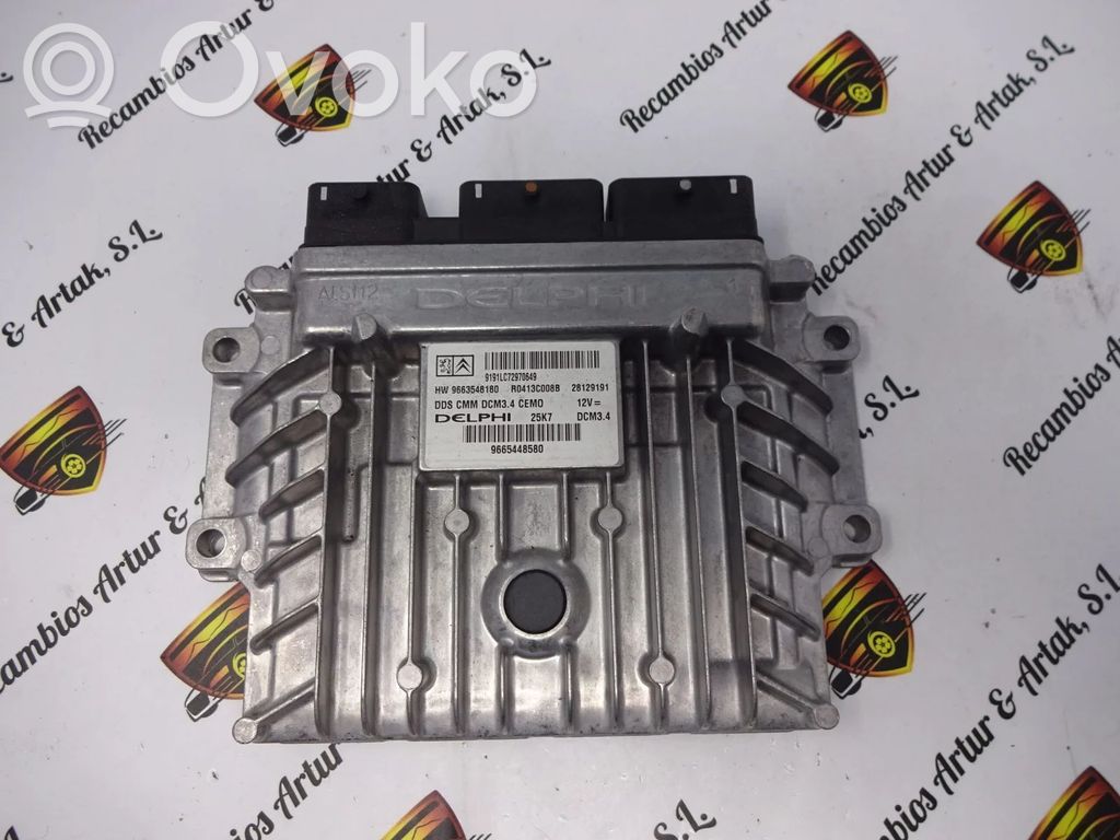 Other engine part   9665448580,R0413C008B