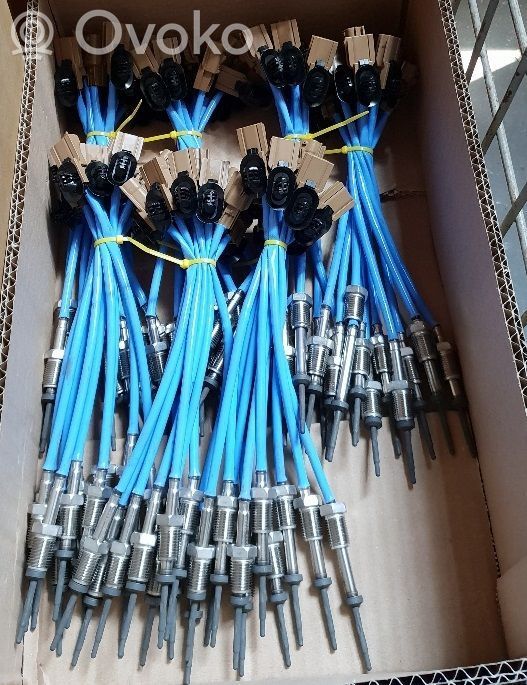 Abgastemperatursensor   226404435R