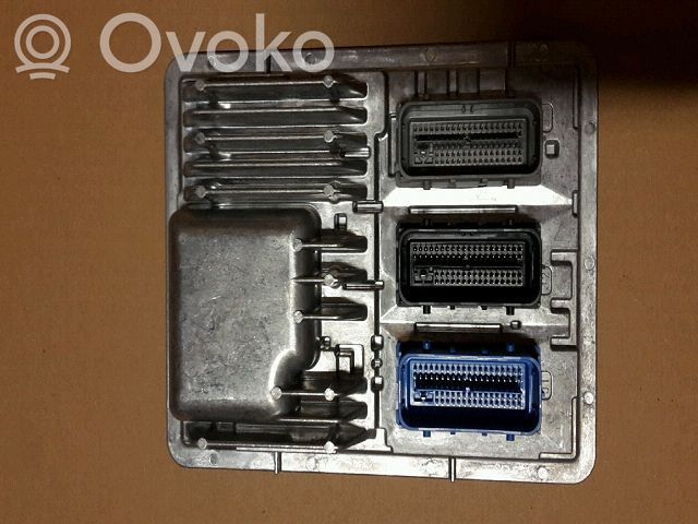 Central body control module   12671092,811839393