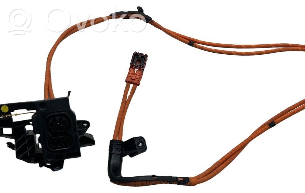 Cupra Formentor Wiring harness 