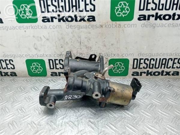 Válvula EGR   Z17DTH