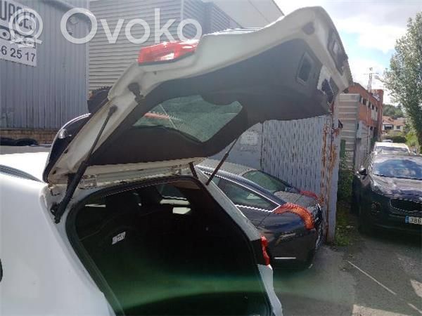 Renault Kadjar Amortiguador del maletero/compartimento de carga 