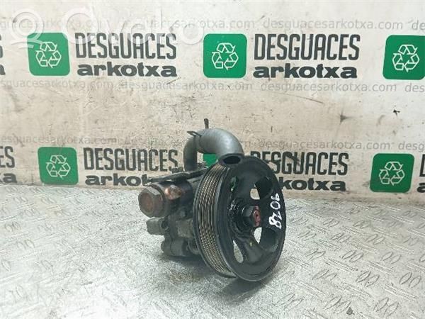 Hyundai Santa Fe Power steering pump 