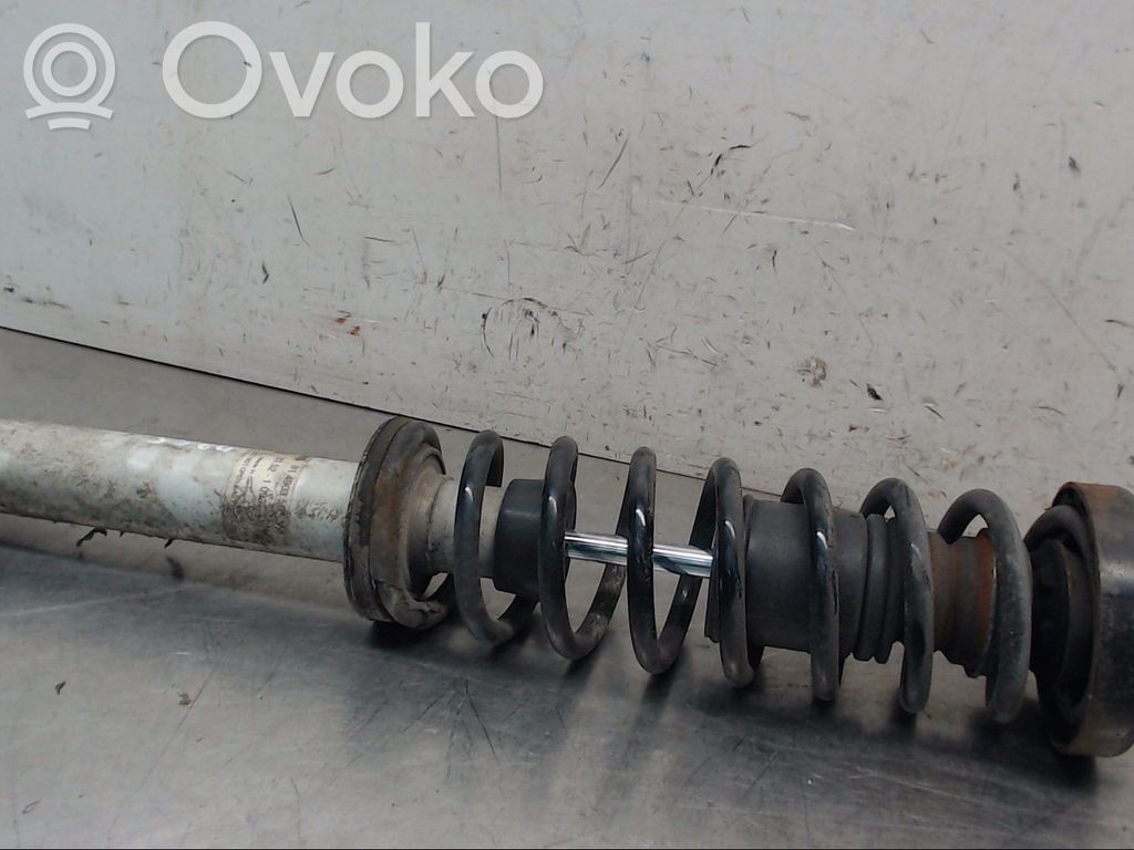 Rear shock absorber with coil spring