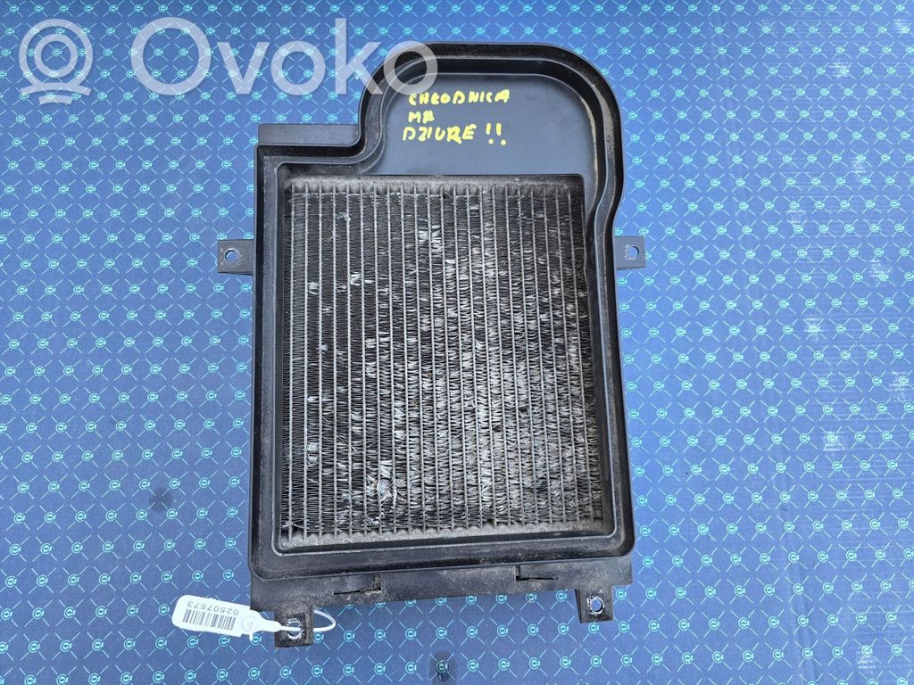 Radiator mount bracket   7555206