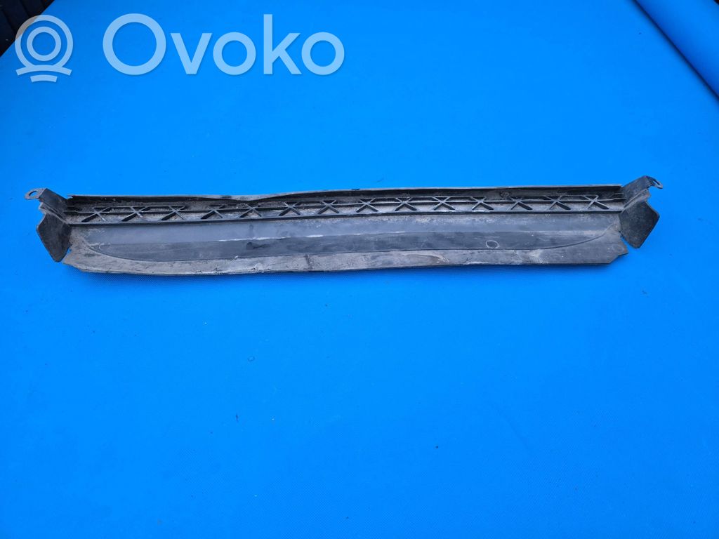 Radiator trim   2990837