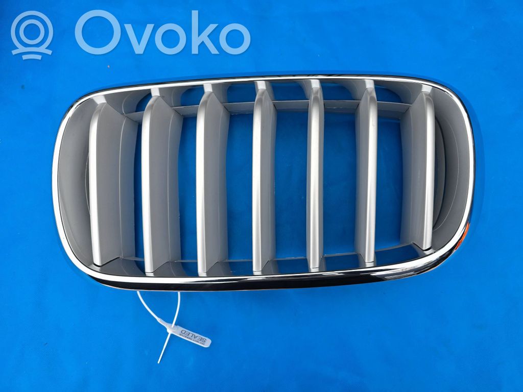 BMW X5 F15 Etusäleikkö 