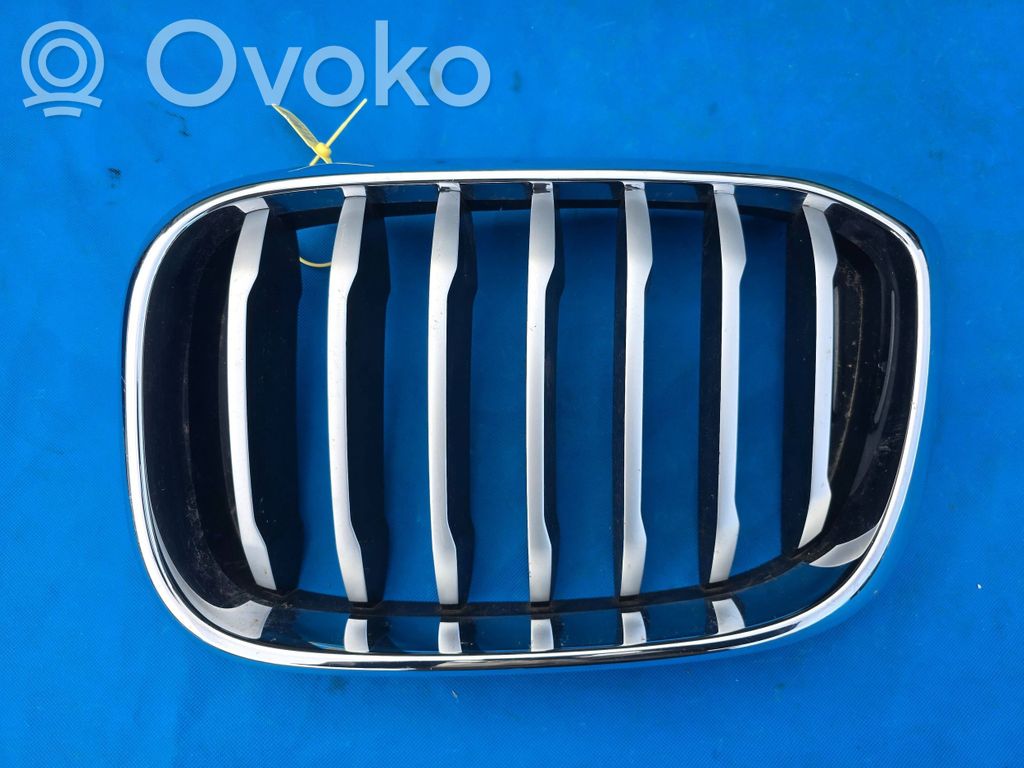 BMW X3 G01 Front grill 