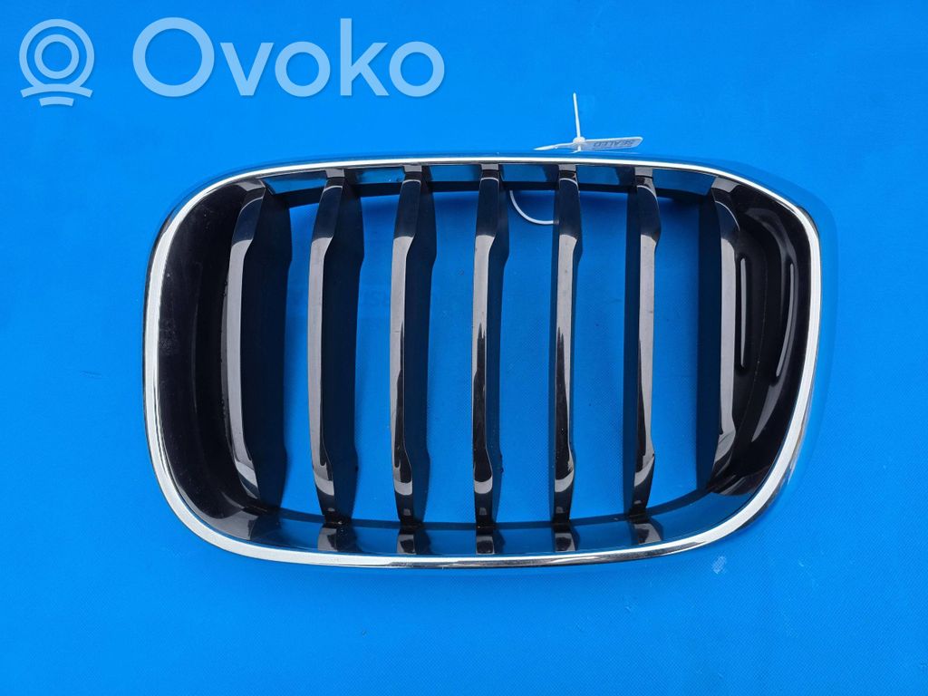BMW X3 G01 Front grill 