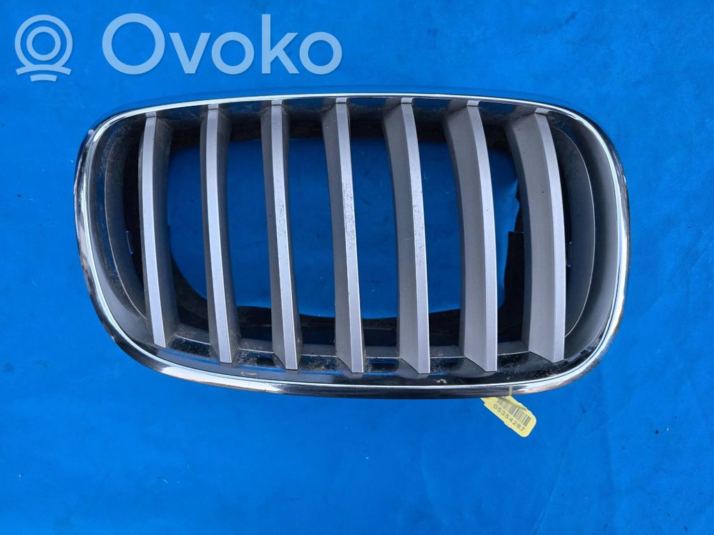 Front grill   7171396