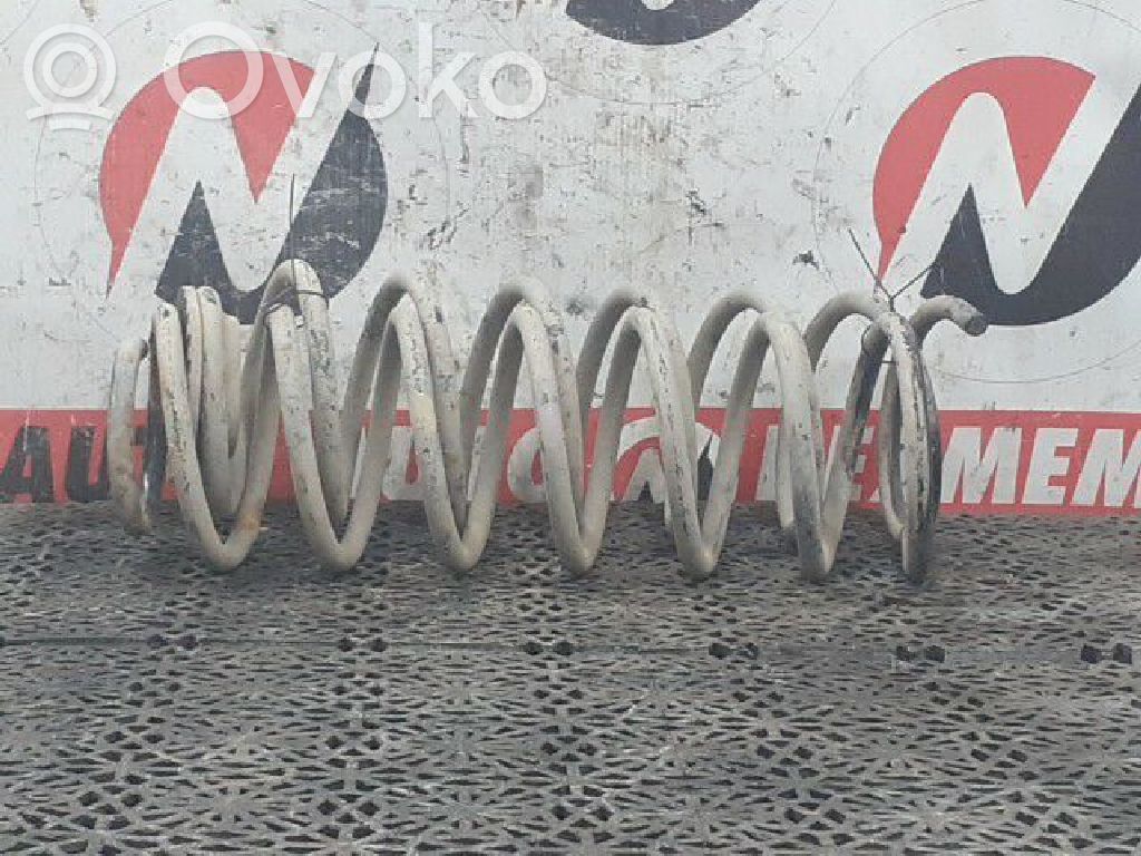 Chevrolet Aveo Rear coil spring 