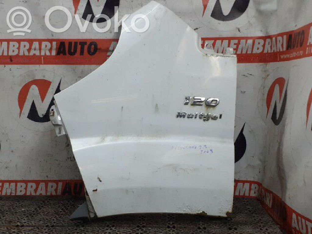 Fiat Ducato Guardabarro 