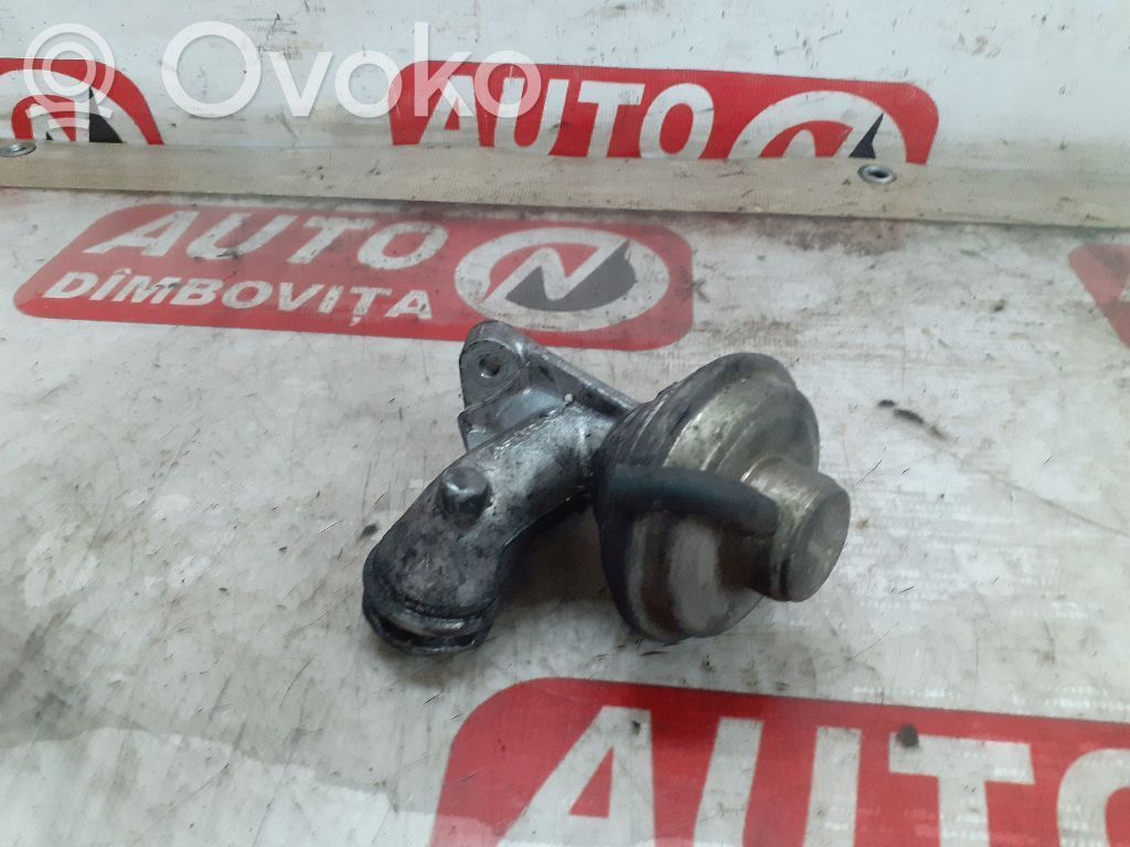 Citroen C3 EGR valve 