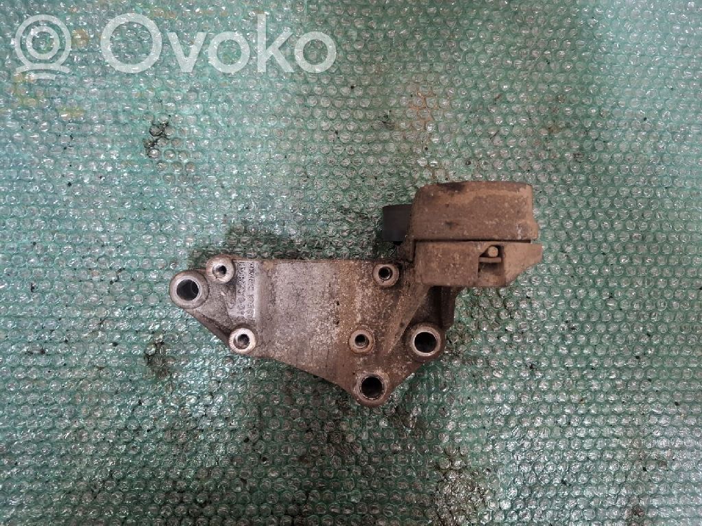 Ford Focus Diržo įtempėjas 