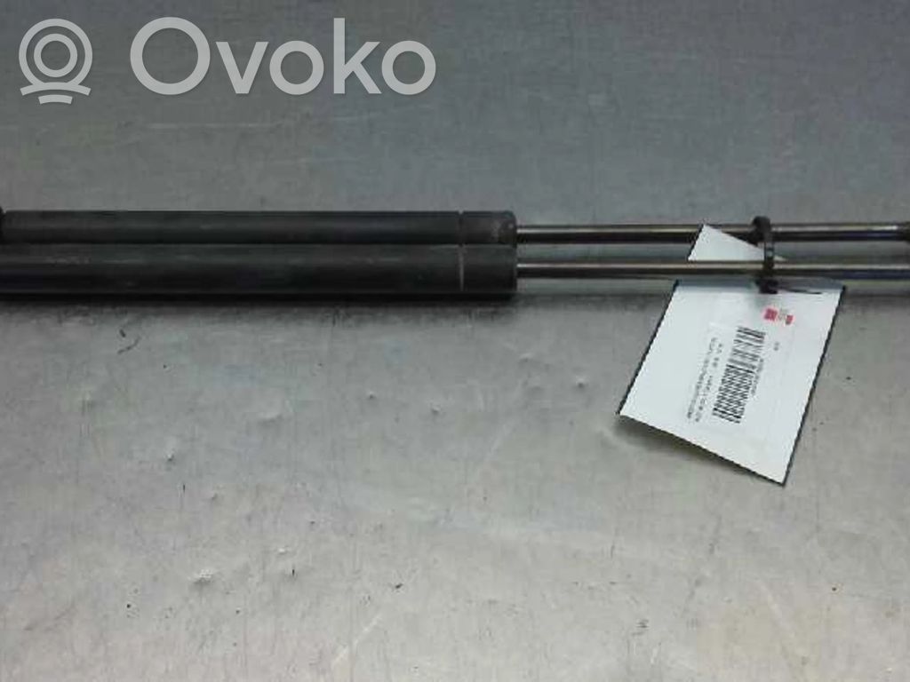 Tailgate/trunk strut/damper