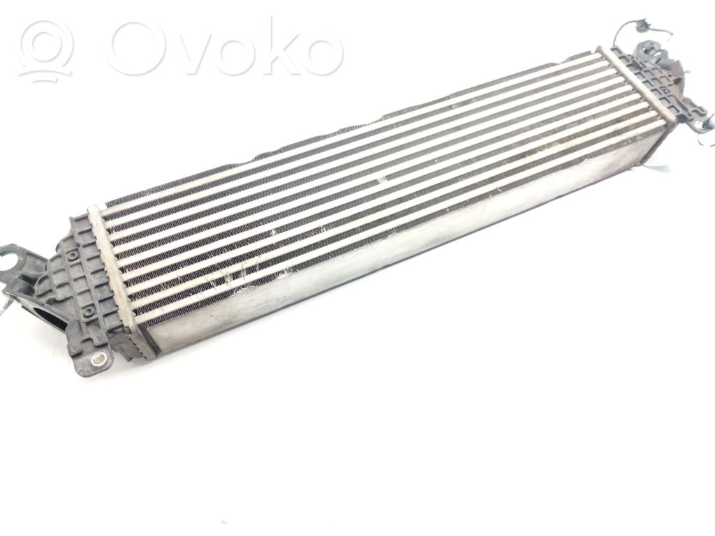 Interkūlerio radiatorius   1271004114