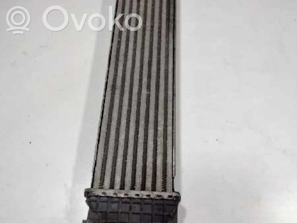 Ford Focus Intercooler radiator 