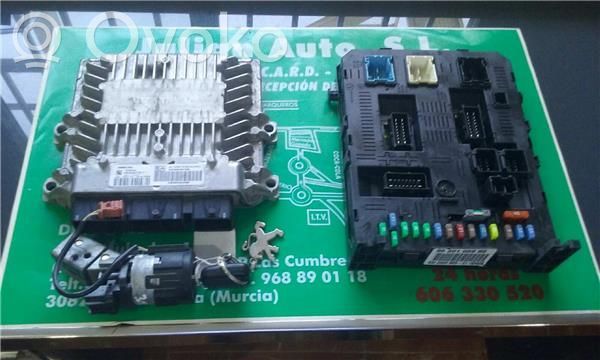 Engine control unit/module ECU   9660497480