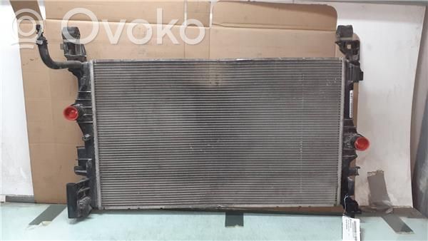 Opel Corsa E Engine oil radiator 