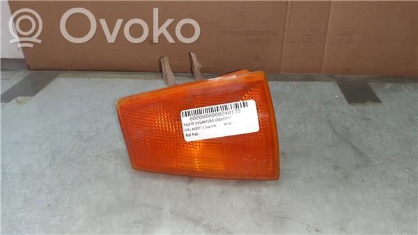Front indicator light