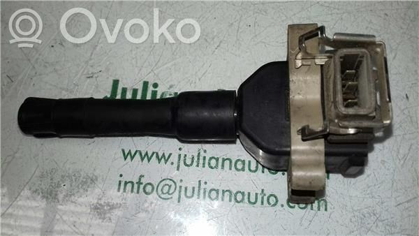 High voltage ignition coil   1703359,118563PINES