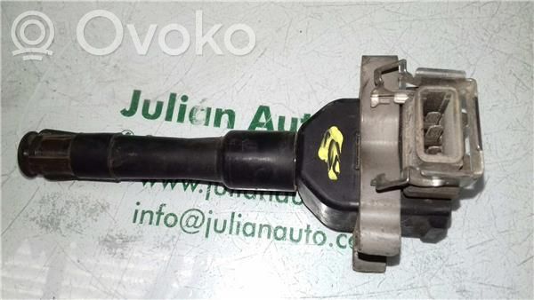 High voltage ignition coil   1703359,118563PINES