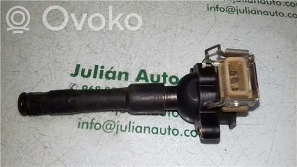 High voltage ignition coil   1748017,118603PINES