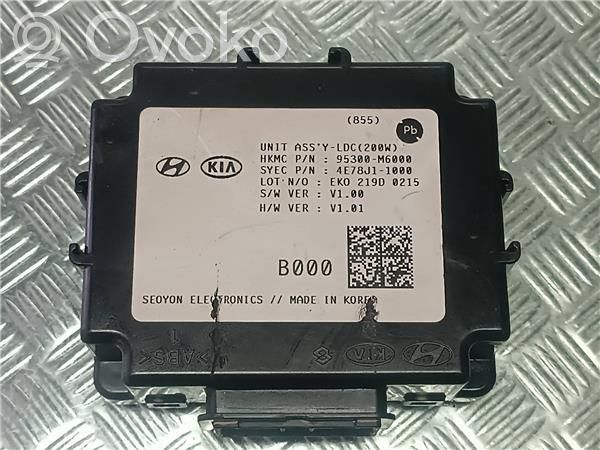Engine control unit/module ECU   95300M6000,B000