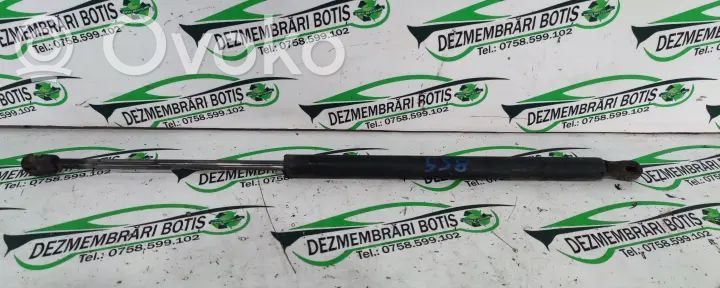Tailgate/trunk strut/damper   INGZ0WES