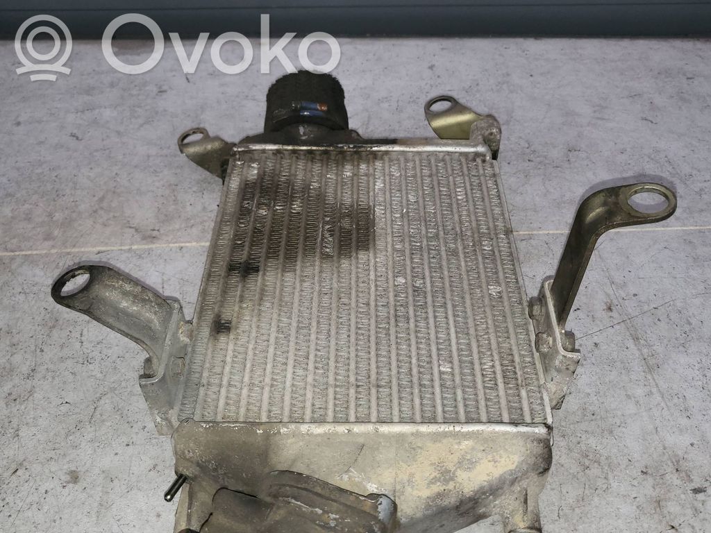 Opel Monterey Interkūlerio radiatorius 